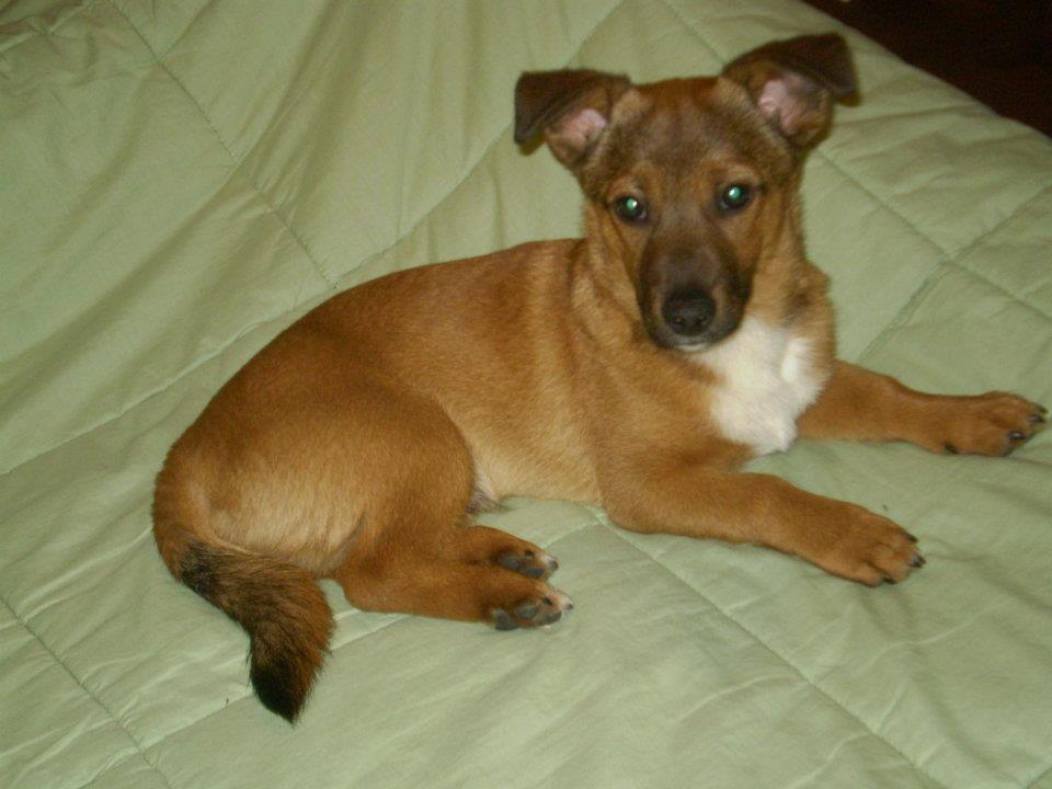 JACK - 31/03/2012